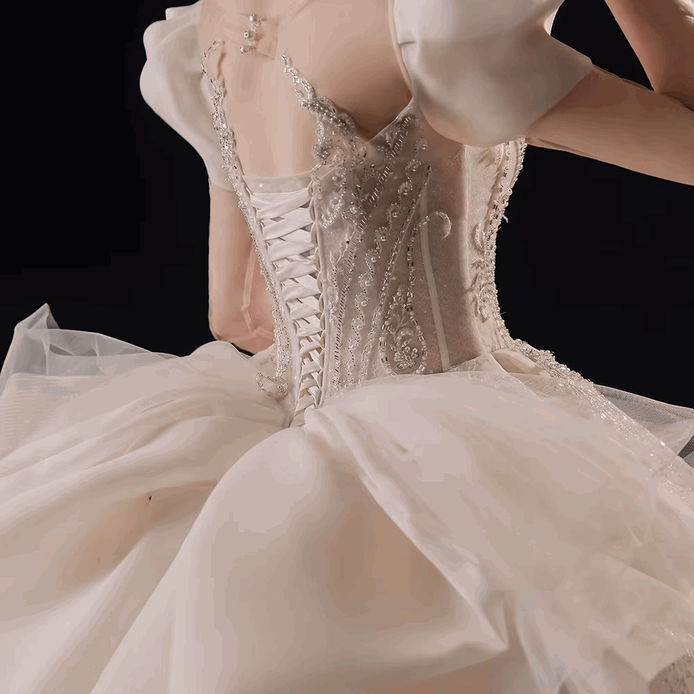 Champagne Silk Embroidered Princess Wedding Gown with Cap Sleeves & Chapel Train - Lovez Aqua© -