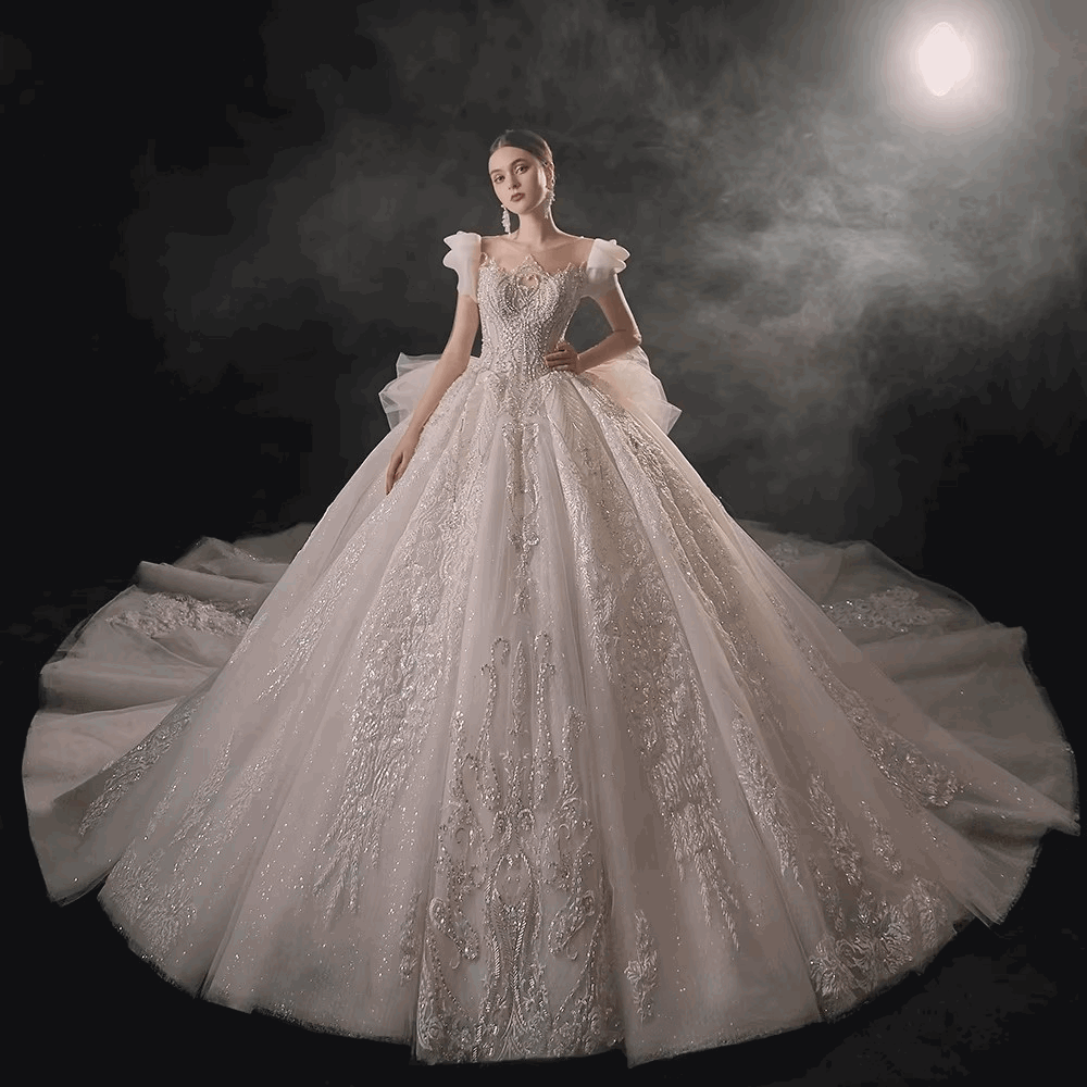 Champagne Silk Embroidered Princess Wedding Gown with Cap Sleeves & Chapel Train - Lovez Aqua© -