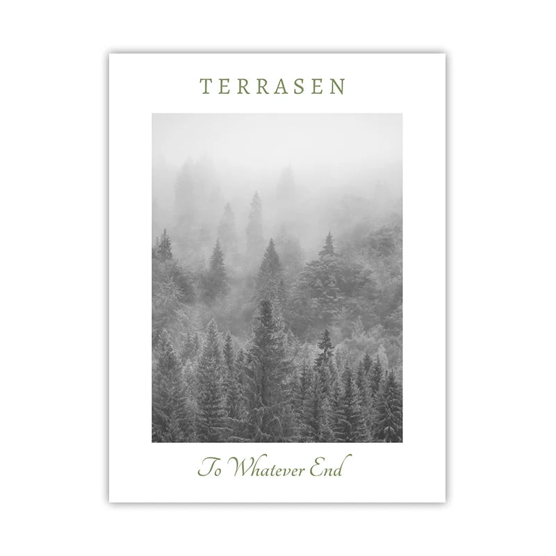 Sarah J Maas ACOTAR, Crescent City & Throne of Glass Landscape Wall Art Print - ACOTAR - Terrasen - Black & White / A2 42x60 cm No Frame